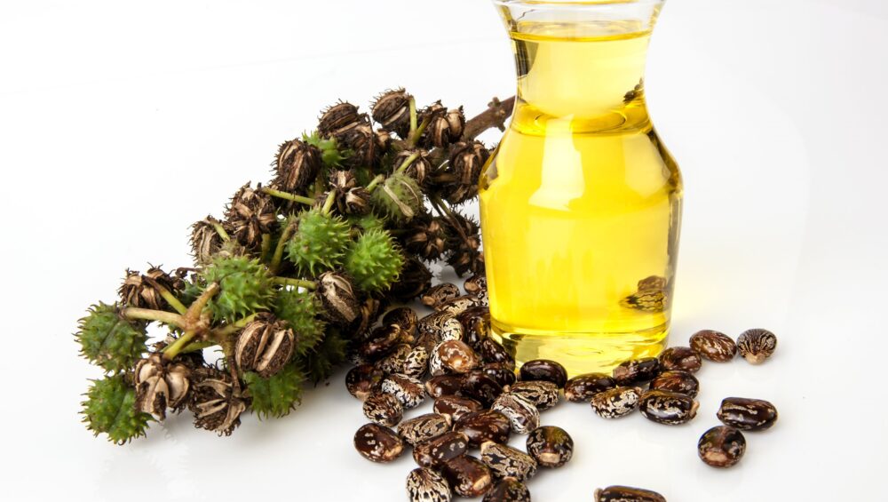 Olej rycynowy - Właściwości oraz zastosowanie oleju rycynowego